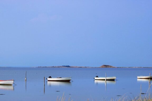 Hønsepold, Besser Rev og Kyholm